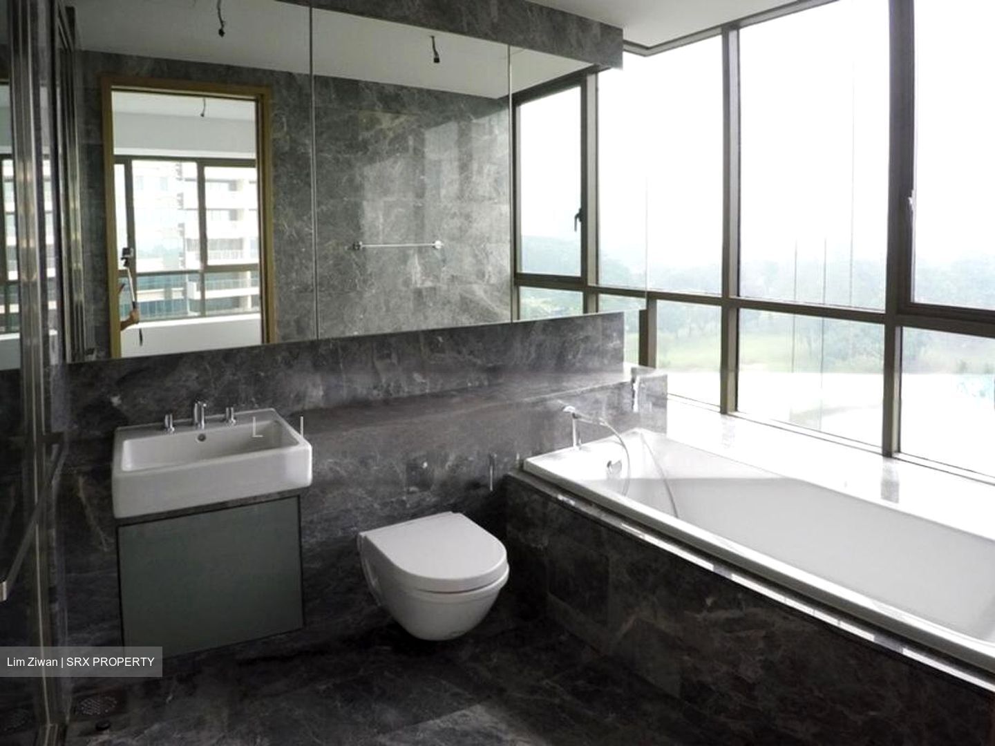 Skyline Residences (D4), Condominium #487449081